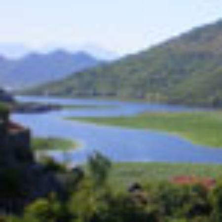 Estrela doce do Paraiso